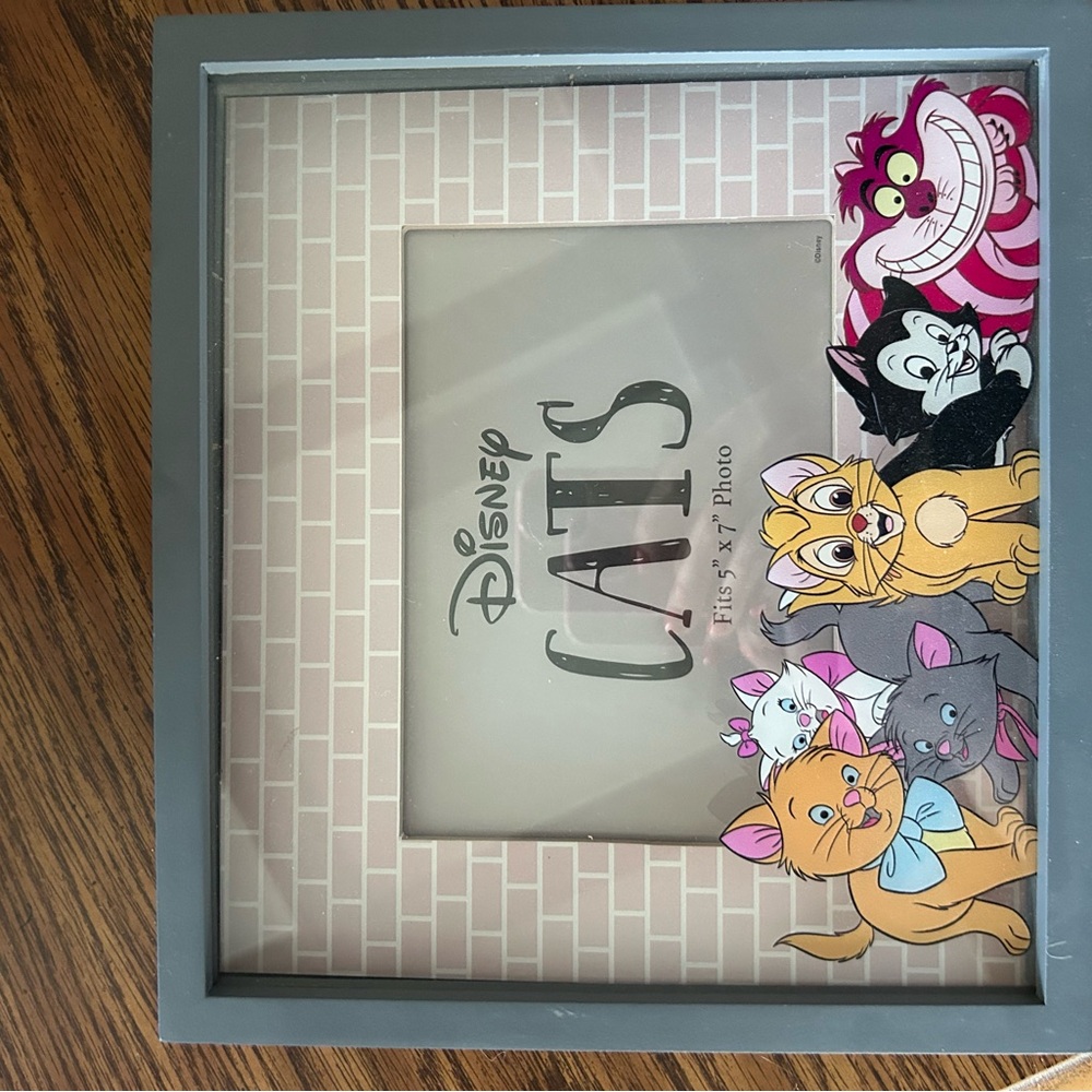 Disney Cats Gray Picture Frame